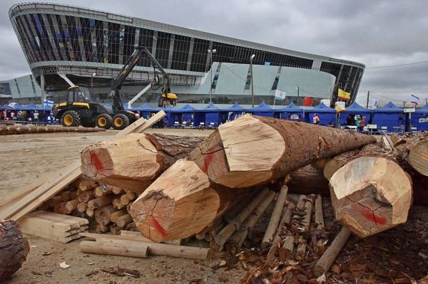 963 миллиона рублей поступило в бюджет области за пользование лесами