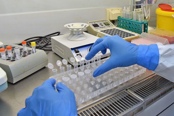 У россиян выросли расходы на медицинские обследования в частных клиниках