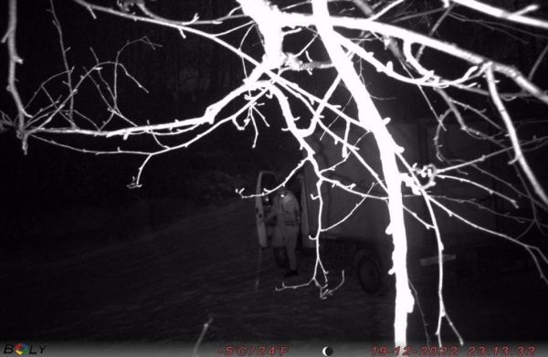 В Екатеринбурге в фотоловушки попались семь любителей выбрасывать мусор где попало