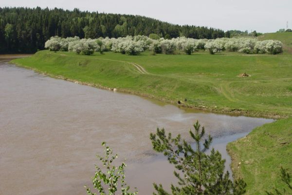 В Верхотурье туроператоры задумали провести фестиваль цветения яблонь