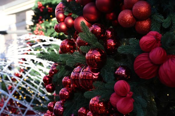 От детской мечты до миски корма: акция «Ёлка желаний» на Среднем Урале расширяет границы добра