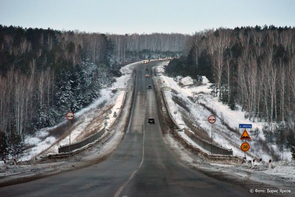 На областной трассе перевернулся микроавтобус с людьми и собаками