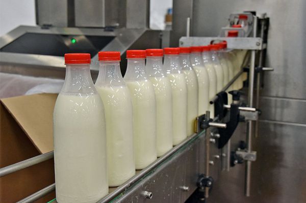 В свердловских магазинах станет больше качественной молочной продукции