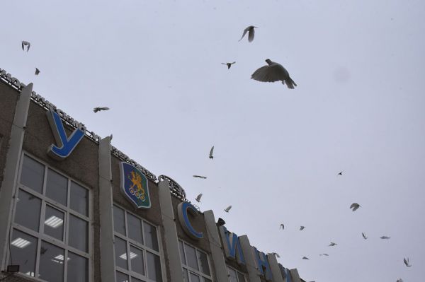 Экономист Елена Разумовская: «Наша страна действует в отношении геополитических партнеров взвешенно и разумно»