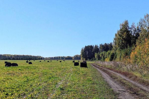 Уральские аграрии за счет субсидий  вернут в оборот свыше 5,6 тысячи гектаров сельхозземель