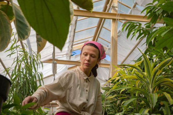 Тихий час для природы Дендропарка на Первомайской начинается в апреле