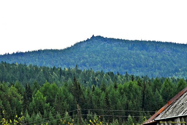 В Свердловской области заложат тестовые полигоны для изучения лесов, почвы и парниковых газов