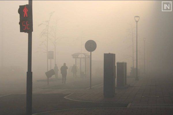 Тушение торфяников близ Солнечного взял под контроль губернатор