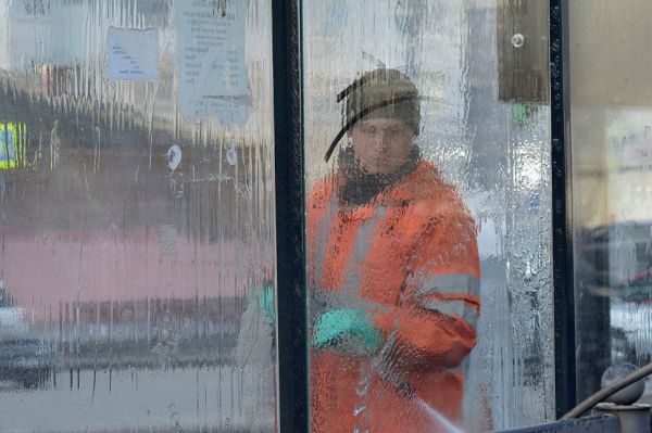 Санврачи напомнили, кто и как должен бороться с грызунами и насекомым в МКД