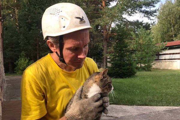 Зооспасатель из Екатеринбурга спас котенка, сидевшего две недели на дереве в Камышлове