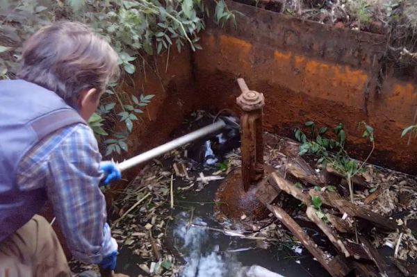 Екатеринбургский зооспасатель помог бобрам, попавшим в ловушку