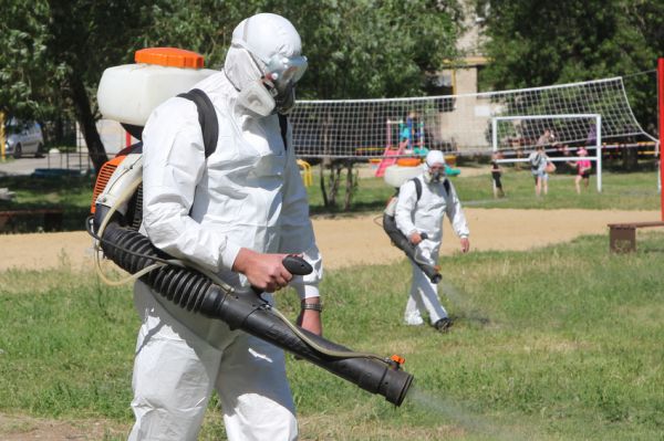 В Каменске-Уральском приступили к обработке от клещей городских кладбищ