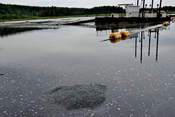 Вычистят до дна: шесть водоемов области пройдут экологическую реабилитацию