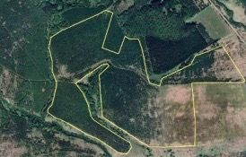 Сорняки вместо посевов: 250 га сельхозземель заброшены в Артинском районе