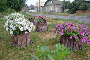 Жители  Каменска-Уральского включились в конкурс на лучшую дворовую клумбу