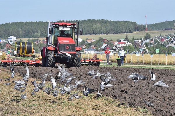 На поддержку фермеров областные власти направят более 320 миллионов