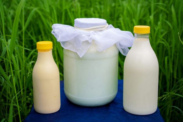 Будем здоровы. Ученые УрФУ изучили и подтвердили  полезные свойства кефира