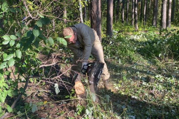 Коммунальщики Нижнего Тагила стали использовать древесные отходы для мульчирования газонов