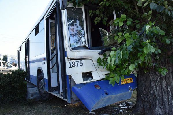 Водитель автобуса, въехавшего в дерево на Плотинке, продолжил работать
