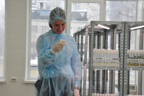 В России завершены испытания вакцины от COVID-19, добровольцы чувствуют себя хорошо