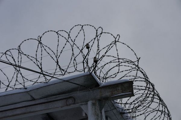 Суд отправил в колонию «черных» лесорубов из Екатеринбурга