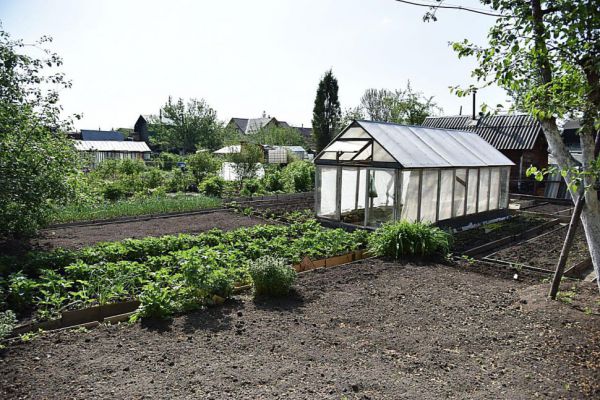 Дачникам напомнили о штрафах за неправильное использование участков