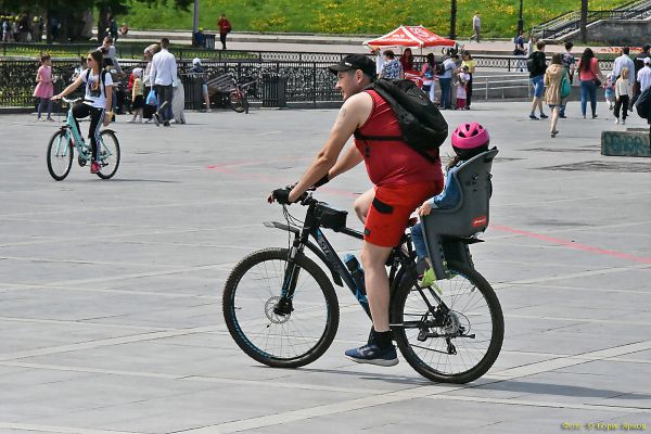 Отцовский капитал: эксперт оценил идею господдержки многодетных пап