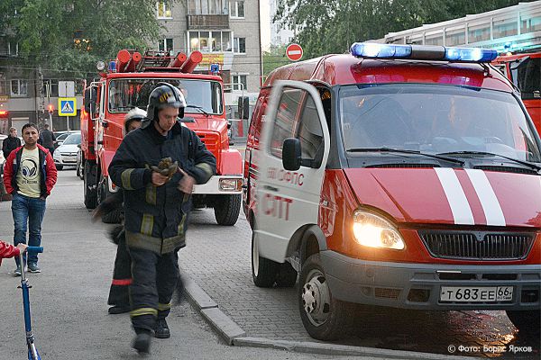 Поджигателям травы хоть кол на голове теши: не помогают ни уговоры, ни штрафы