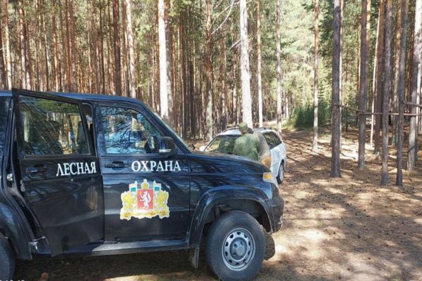 В лес можно, но осторожно. На Среднем Урале начался пожароопасный сезон