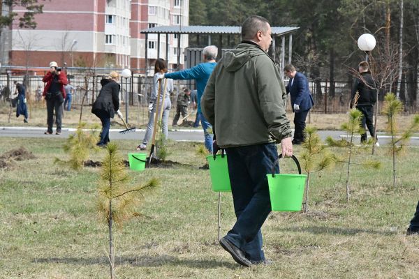 Сиреневая и березовая: в честь Дня Победы в Екатеринбурге появились две новые аллеи