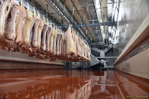 С начала года на Среднем Урале выявили более 80 фантомных пищевых  предприятий