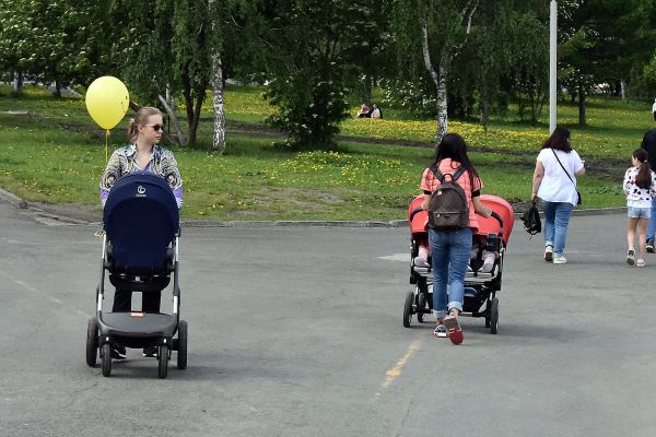 Уральские репродуктологи рассказали о мифах вокруг ЭКО, суррогатном материнстве и шансах бездетных пар стать родителями
