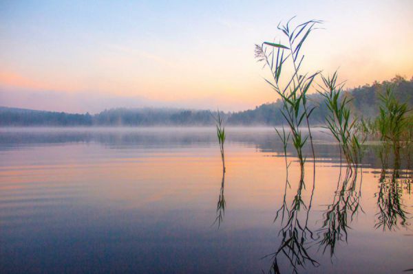 На ликвидацию свалок свердловские власти направили порядка 300 миллионов рублей