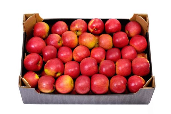 Россельхознадзор не досчитался 20 тонн яблок в уральской столице