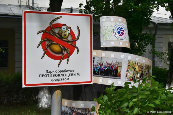 В Свердловской области от укусов клещей пострадал 61 человек