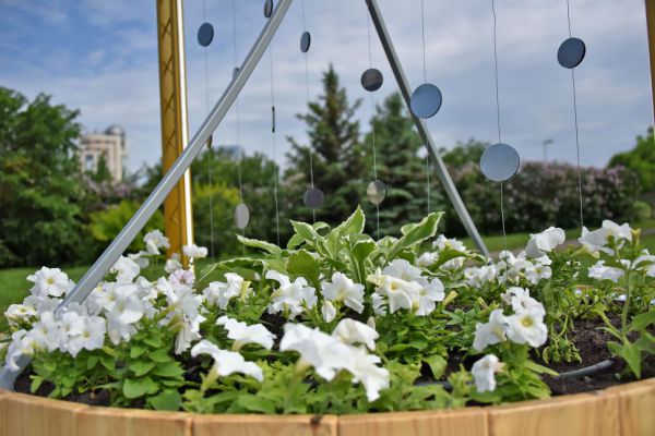 Весной на улицах Нижнего Тагила высадят около 270 тысяч цветов