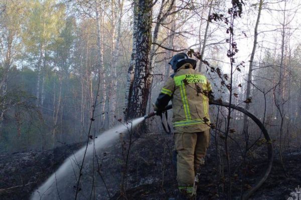Площадь лесных пожаров в Свердловской области за сутки сократилась в пять раз