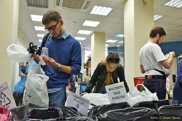 Эксперты рассказали, что поможет избавить города от мусора и бездомных животных