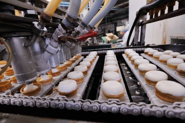 Маркировка мороженого, защита пчел от химикатов: какие законы вступают в силу в июне