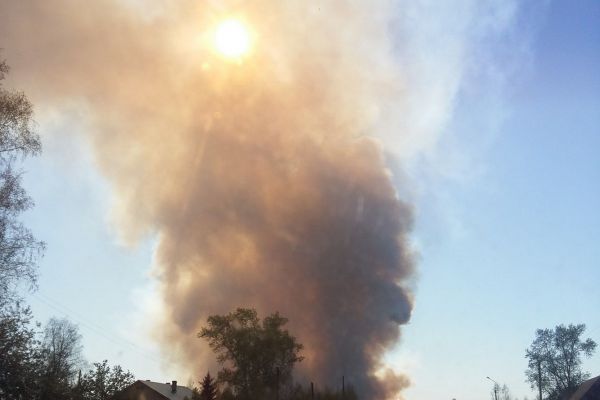 За неделю в регионе потушено уже 36 лесных пожаров
