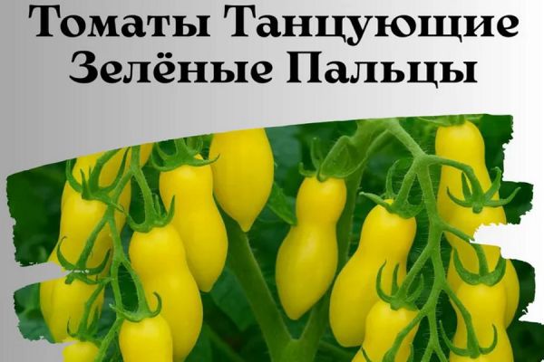 Дали по пальчикам: в Свердловской области пресекли продажу 350 сортов и гибридов некондиционных семян