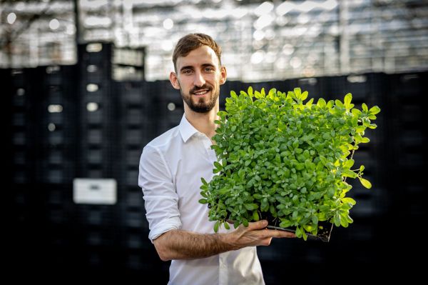 На Среднем Урале появится цветочная ферма, созданная студентом УрГАУ