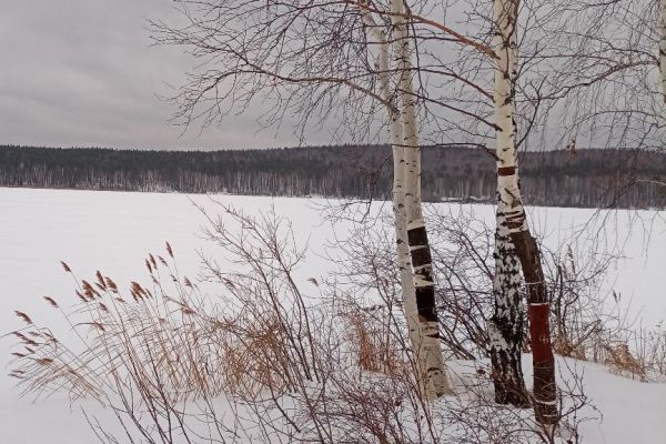 Исследуем зиму: каждый уралец может стать участником спецпроекта «Снежный дозор»