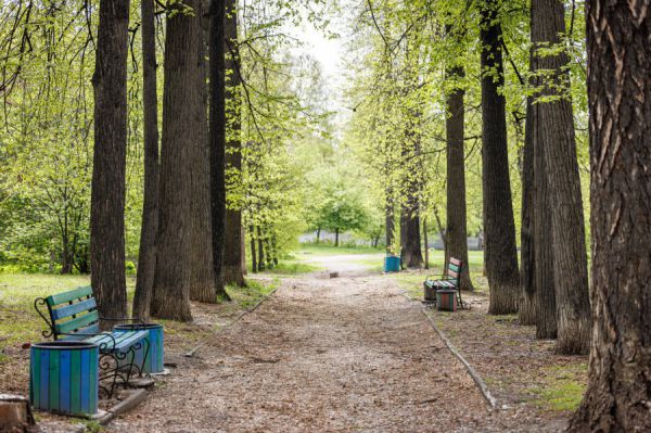 В Екатеринбурге утвердили эскизы благоустройства двух парков