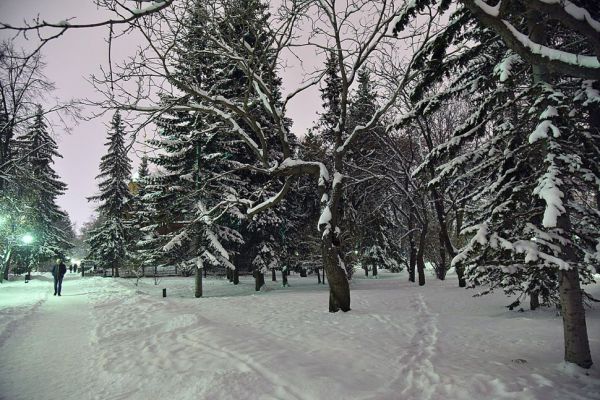 Екатеринбуржцы выберут еще один парк для реконструкции
