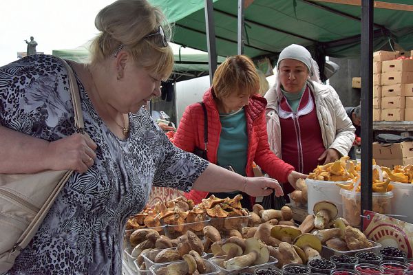Эксперт рассказал о новом способе заготовки грибов впрок