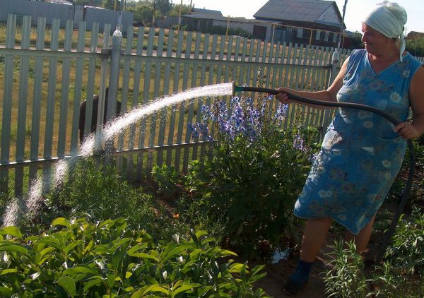 Водоканал уполномочен заключить…