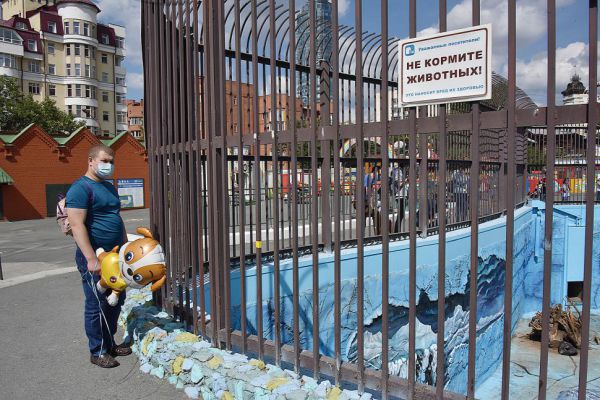 Ко Дню города в Екатеринбурге закончат реконструировать вольер для белых медведей