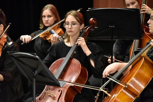 Юные таланты и их педагоги  получили стипендии и премии  свердловского губернатора