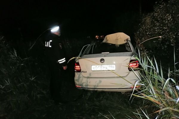 На свердловской трассе автомобилист сбил лося. Погибли оба
